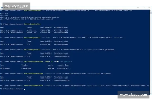 BlackByte 勒索软件组织瞄准 VMware ESXi 漏洞 媒体 BlackByte 勒索软件组织瞄准 VMware ESXi 漏洞 媒体